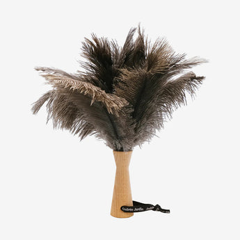 Ostrich Feather Duster Andree Jardin